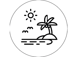 diseño profesional de códigos QR chihuahua